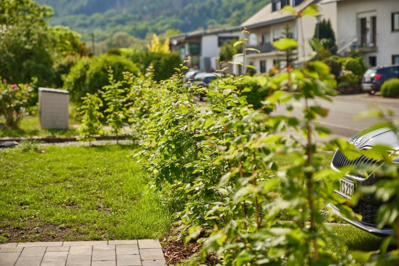 Mittelmosel Panorama Ferienwohnung Kinheim エクステリア 写真