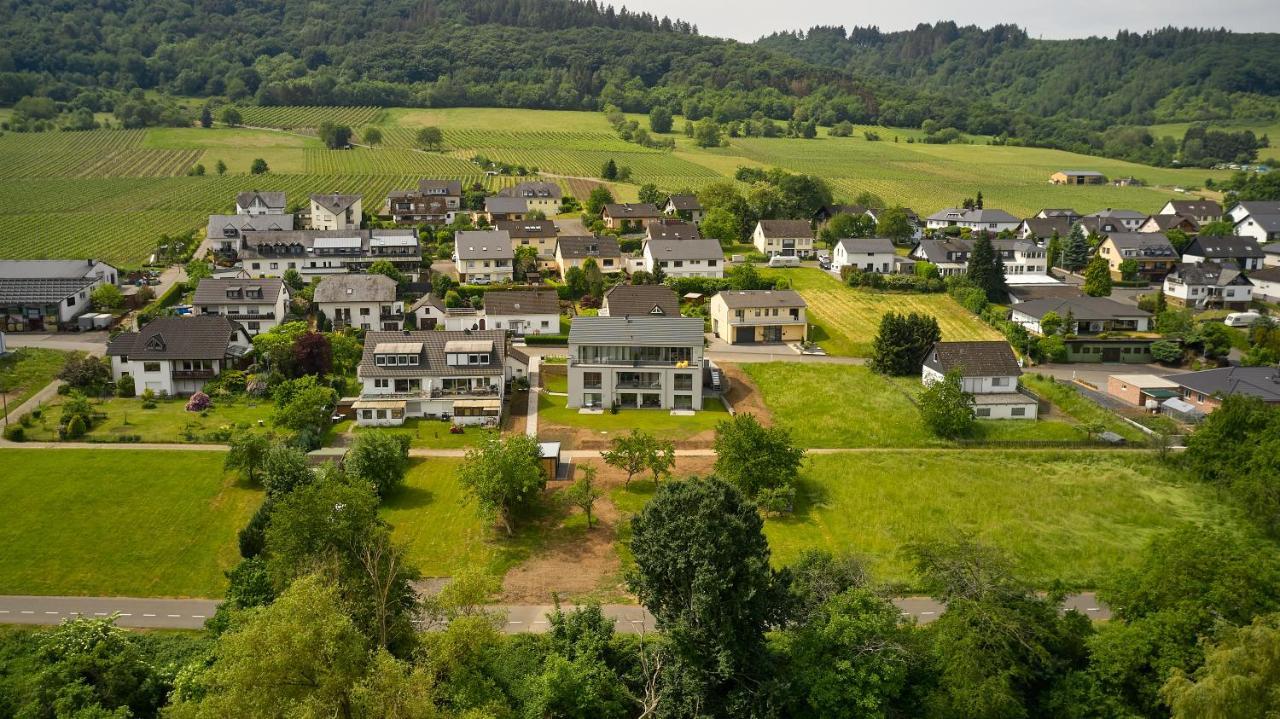 Mittelmosel Panorama Ferienwohnung Kinheim エクステリア 写真